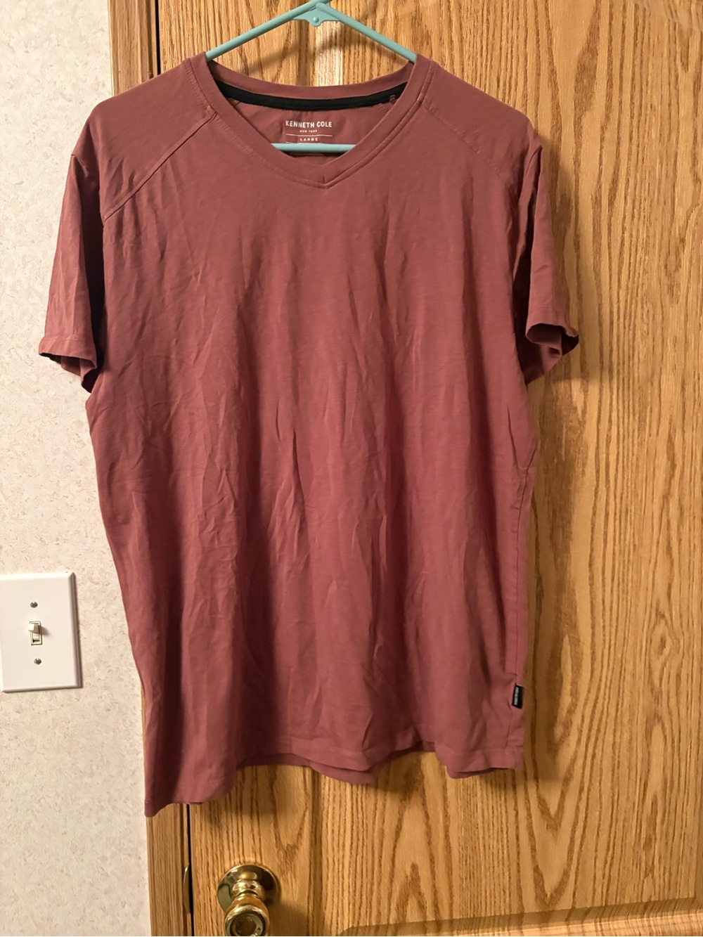 Kenneth Cole Men's Short-Sleeve V-Neck T-Shirt in Brown